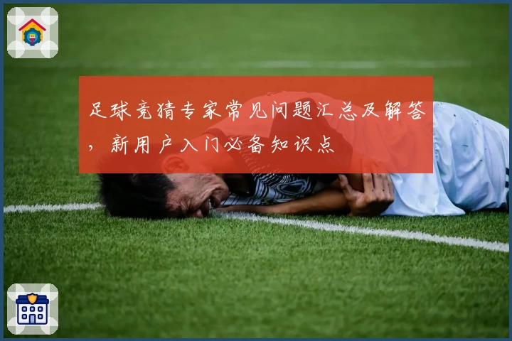 足球竞猜专家常见问题汇总及解答，新用户入门必备知识点