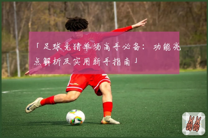 「足球竞猜单场高手必备：功能亮点解析及实用新手指南」