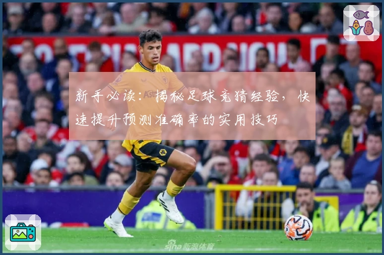 新手必读:揭秘足球竞猜经验,快速提升预测准确率的实用技巧