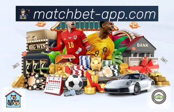 体育平台欢迎图